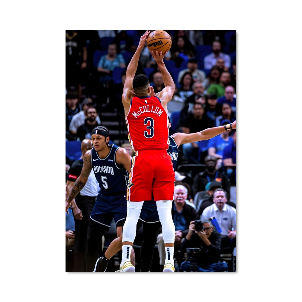 Poster mccollum panier